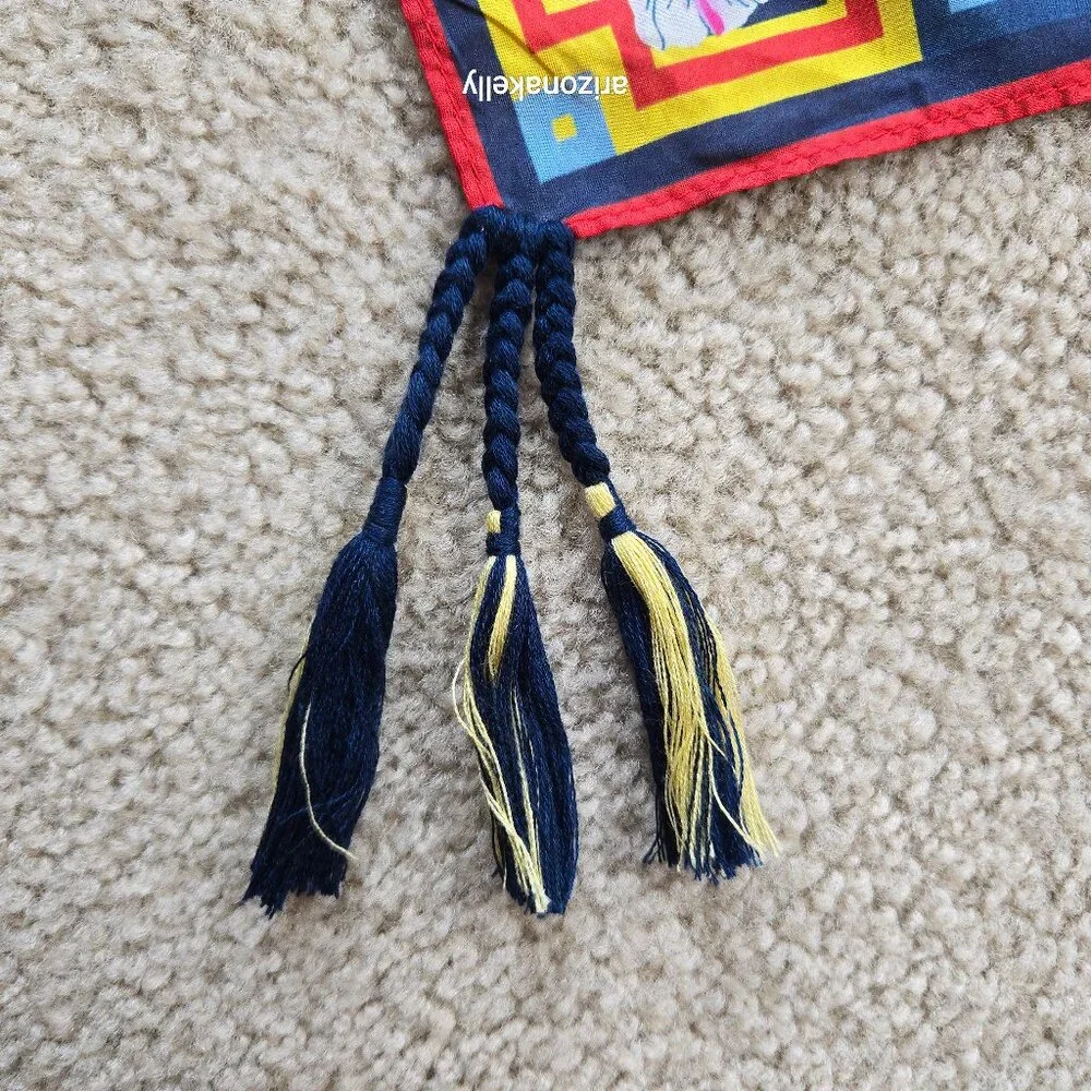 Johnny Was Silk Scarf #12